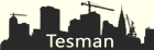 TESMAN EHITUS OÜ logo